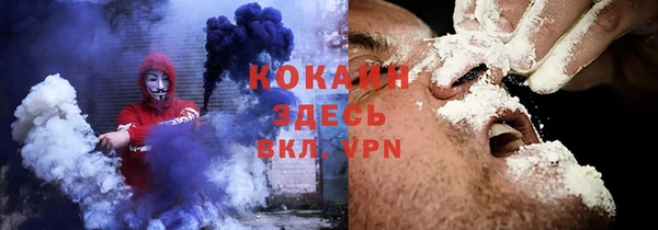 дмт Алзамай